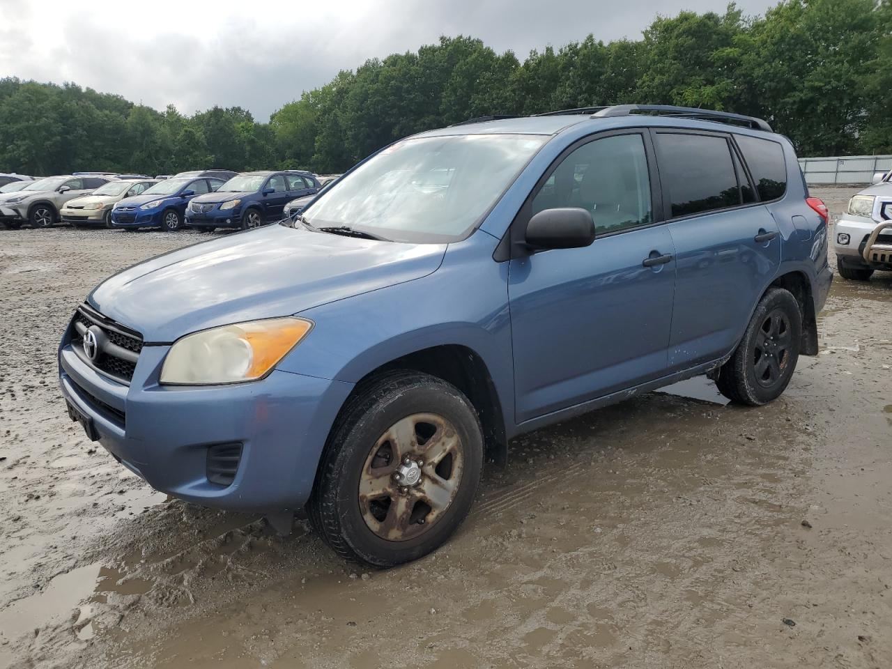 2010 Toyota Rav4 VIN: 2T3BF4DV3AW053051 Lot: 67794214