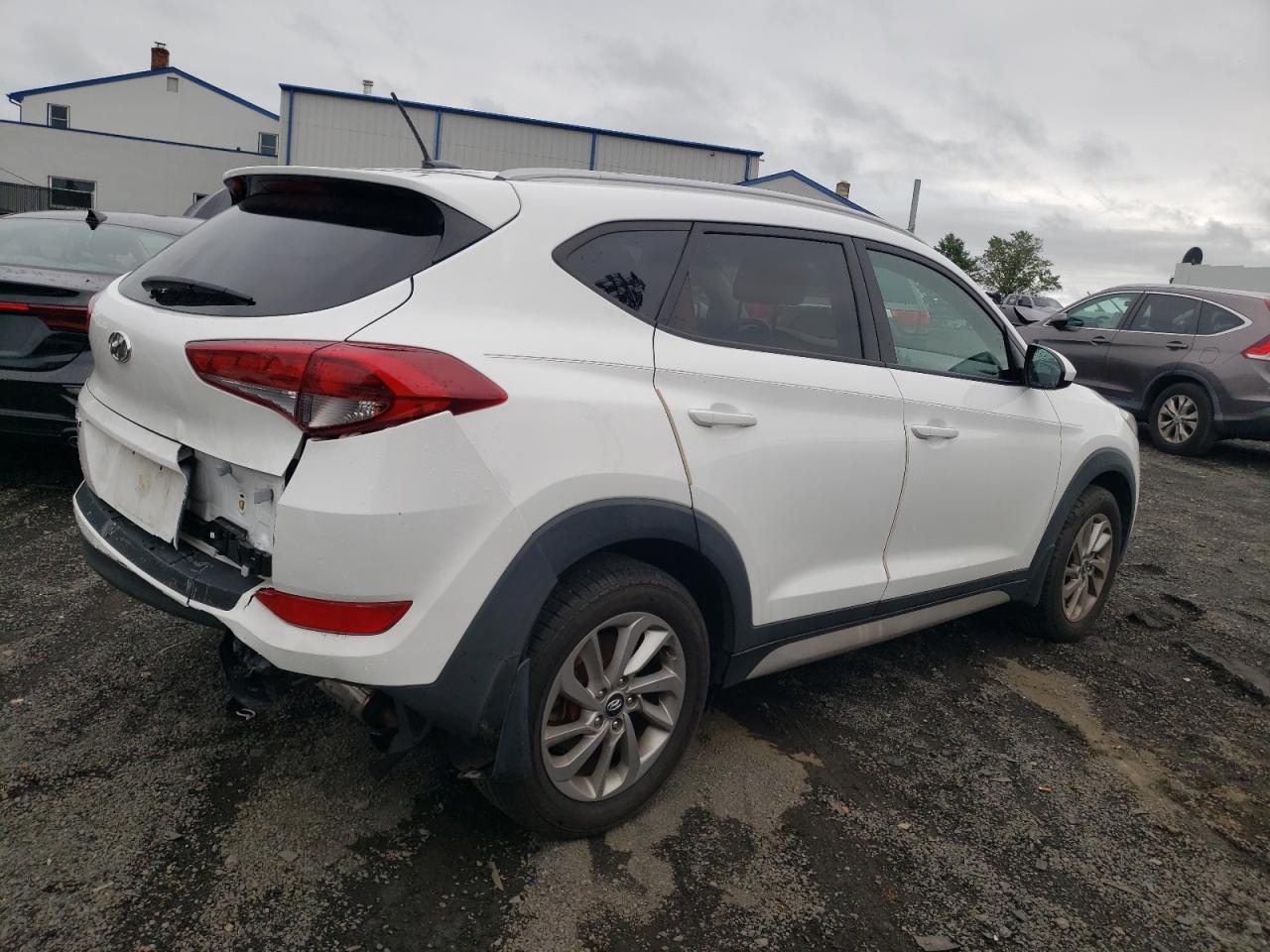 2017 Hyundai Tucson Limited VIN: KM8J3CA47HU566168 Lot: 68523634