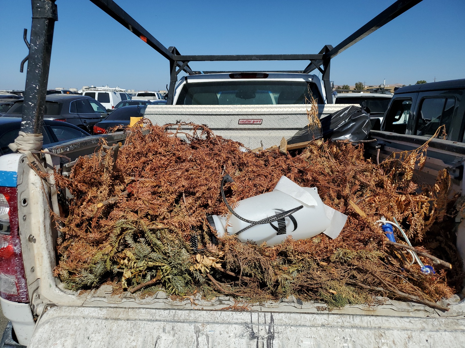 1GTEC14C78Z247000 2008 GMC Sierra C1500