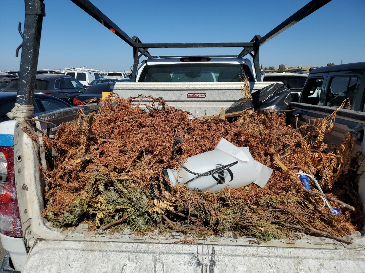 2008 GMC Sierra C1500 VIN: 1GTEC14C78Z247000 Lot: 66940784