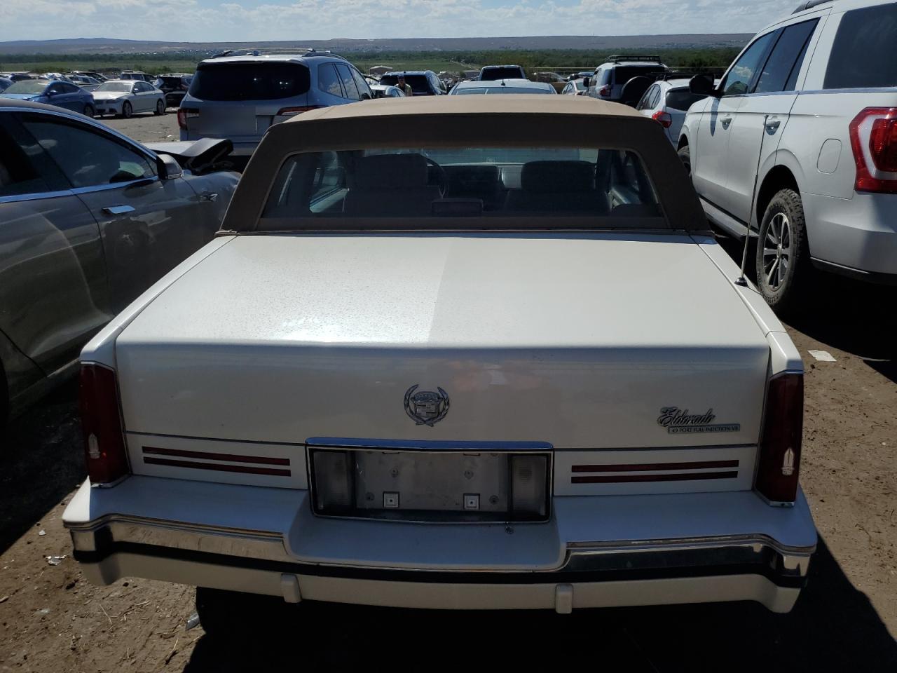 1G6EL13B2MU602660 1991 Cadillac Eldorado