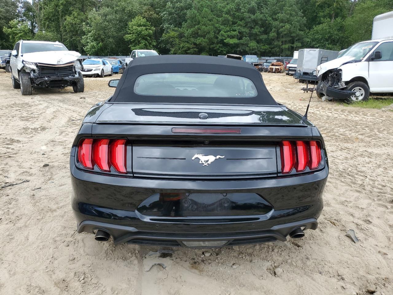 2019 Ford Mustang VIN: 1FATP8UH0K5184245 Lot: 65369064