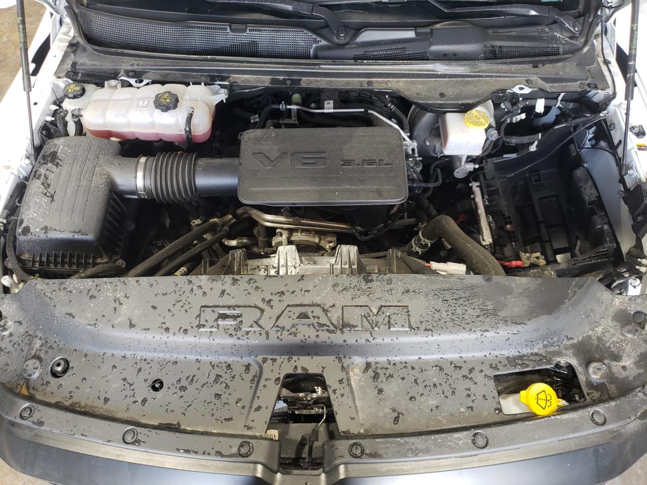 2023 Ram 1500 Tradesman VIN: 1C6SRECG4PN559821 Lot: 67324234