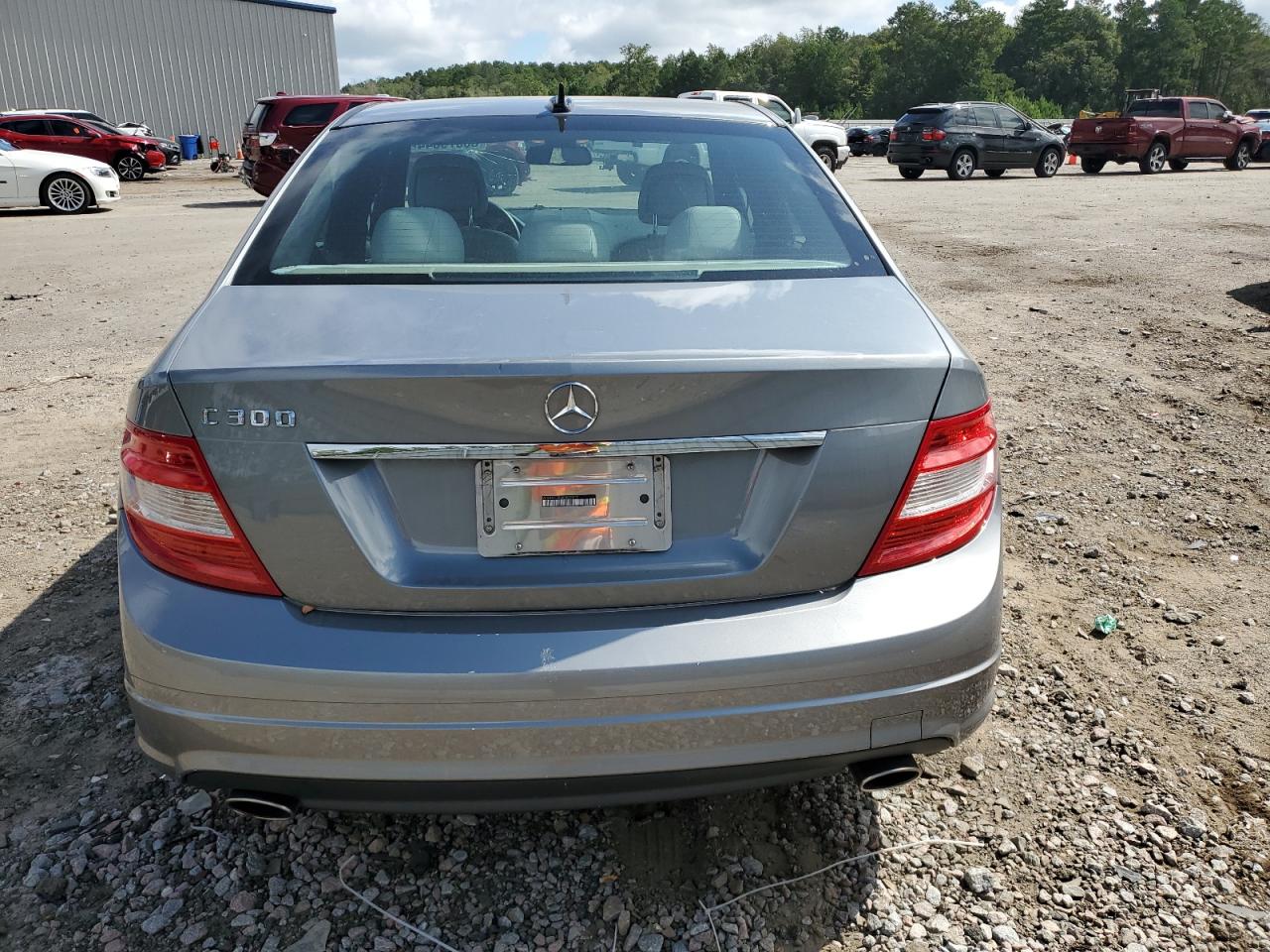 2010 Mercedes-Benz C 300 VIN: WDDGF5EB0AF431513 Lot: 68879344