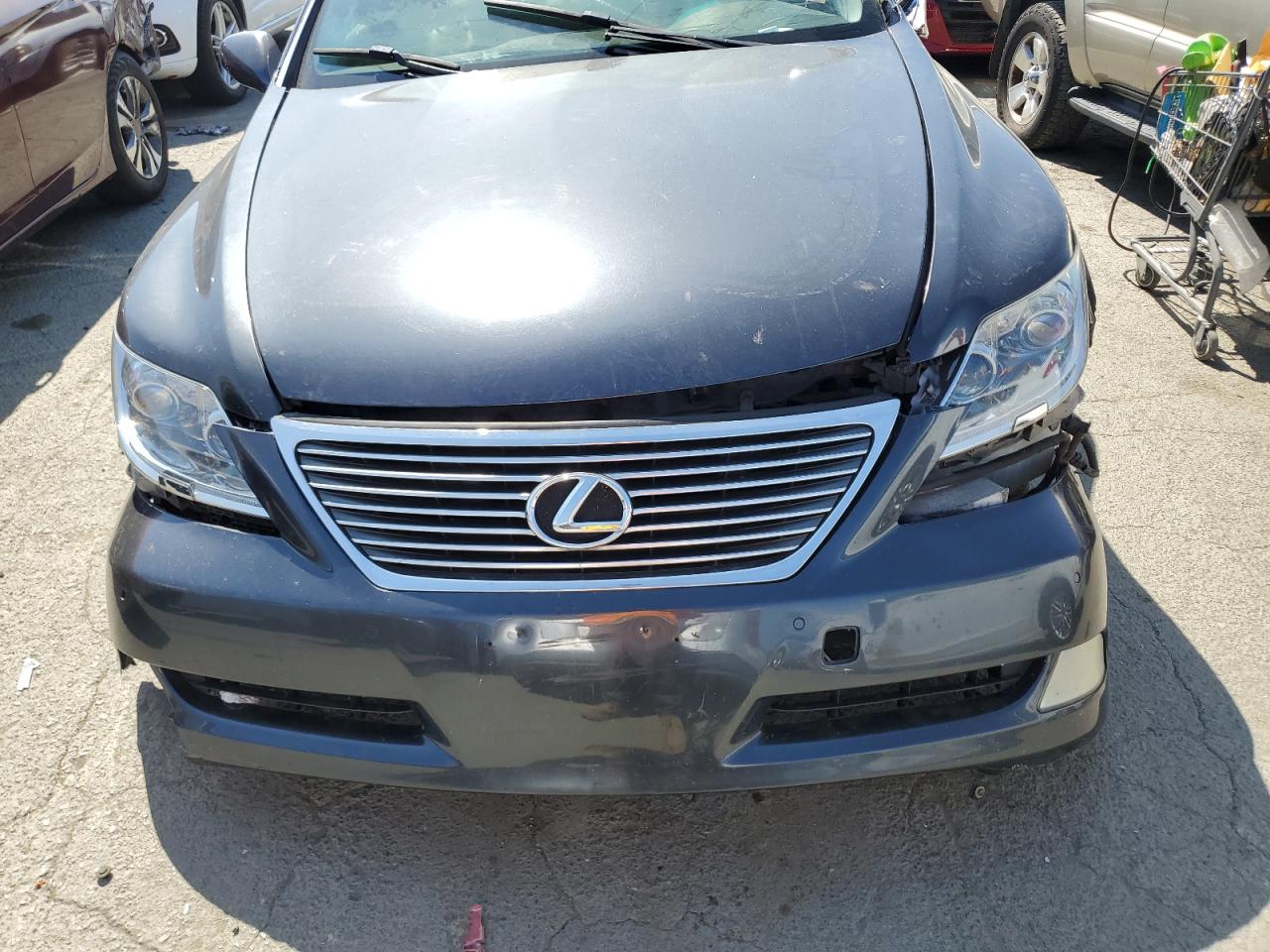 2007 Lexus Ls 460 VIN: JTHBL46F975007902 Lot: 66560454