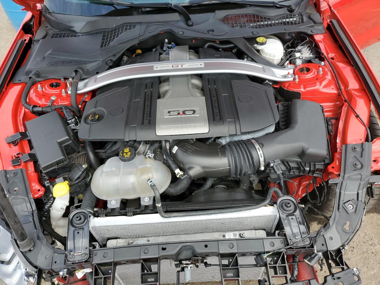 2019 Ford Mustang Gt VIN: 1FA6P8CF8K5198987 Lot: 69791944