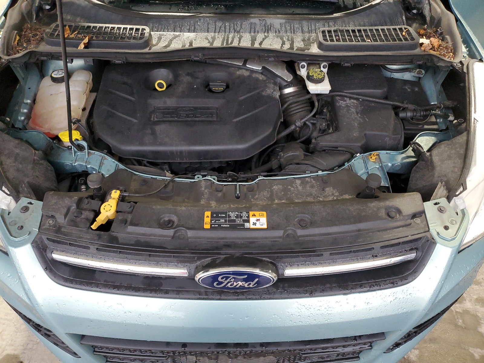 1FMCU9G95DUA93750 2013 Ford Escape Se