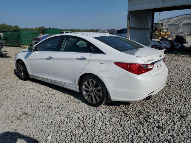  HYUNDAI SONATA 2013 White