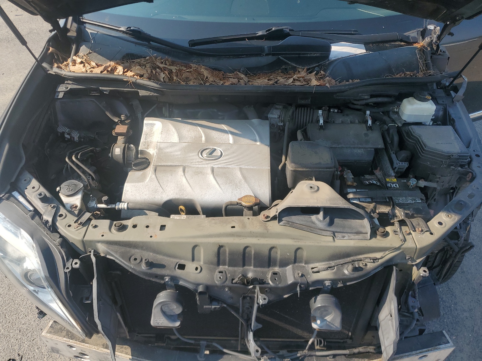 2T2BK1BA4AC013139 2010 Lexus Rx 350