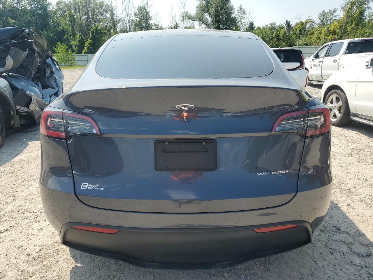 2022 Tesla Model Y VIN: 7SAYGDEE9NF481193 Lot: 66483584