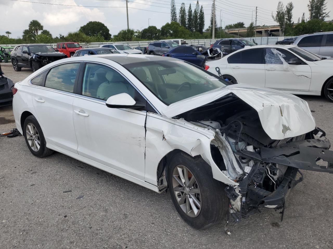 2018 Hyundai Sonata Se VIN: 5NPE24AF1JH631516 Lot: 66619404