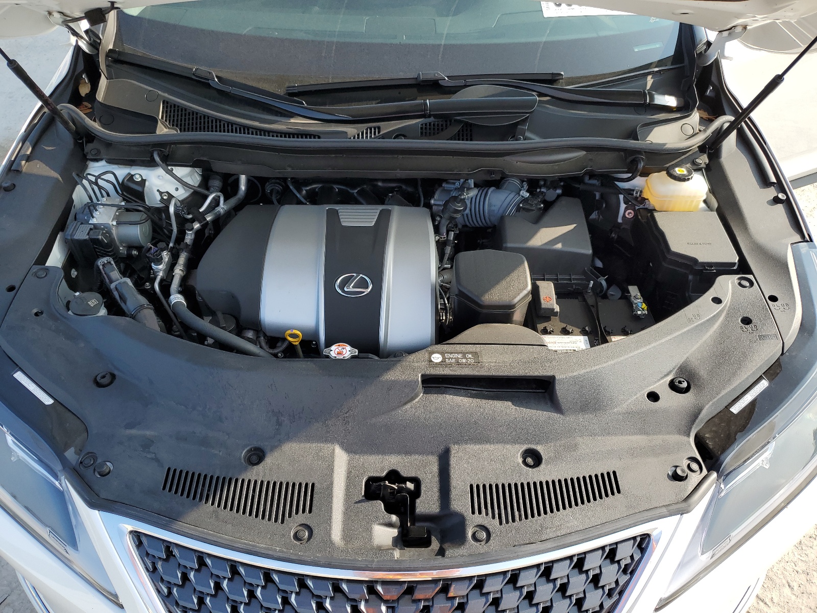 JTJHZMDA3M2053303 2021 Lexus Rx 350