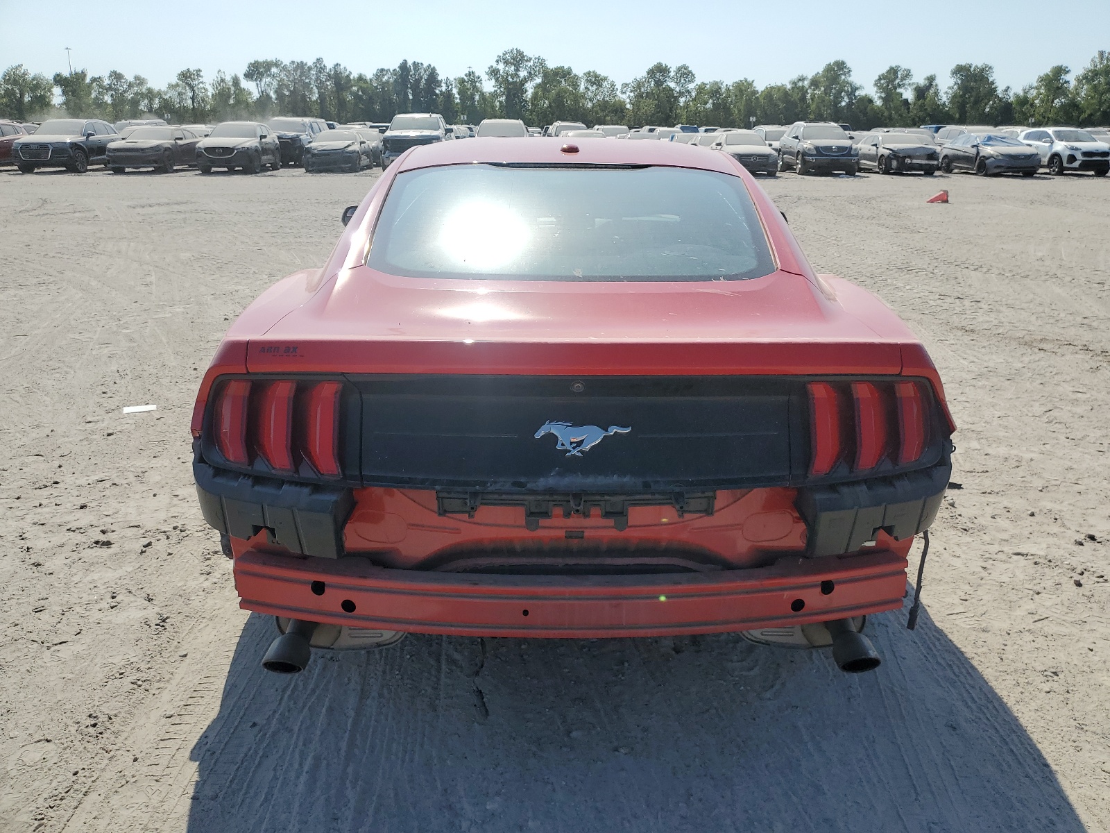 1FA6P8TH8K5168955 2019 Ford Mustang