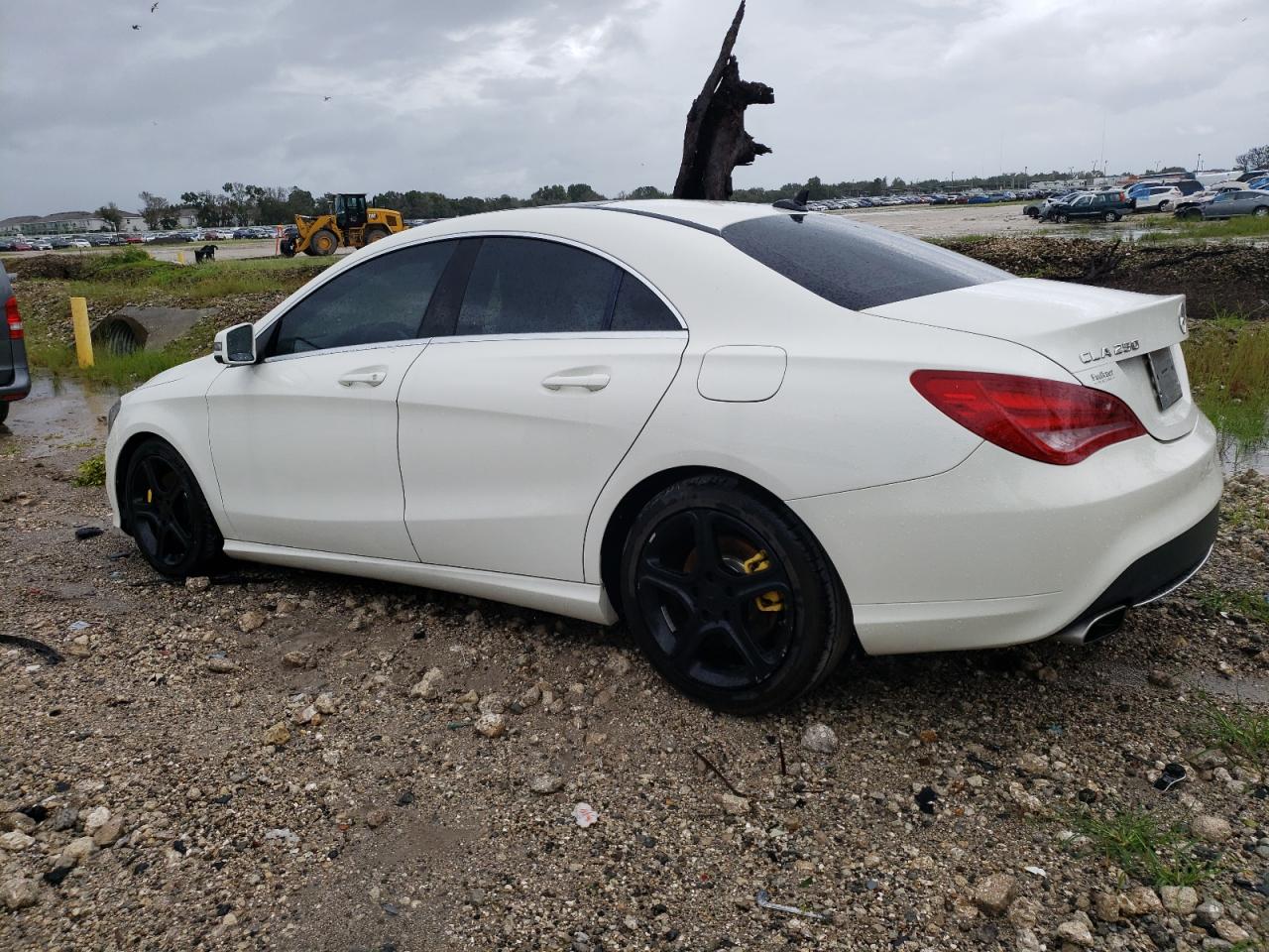 2014 Mercedes-Benz Cla 250 VIN: WDDSJ4EB3EN036823 Lot: 65742414