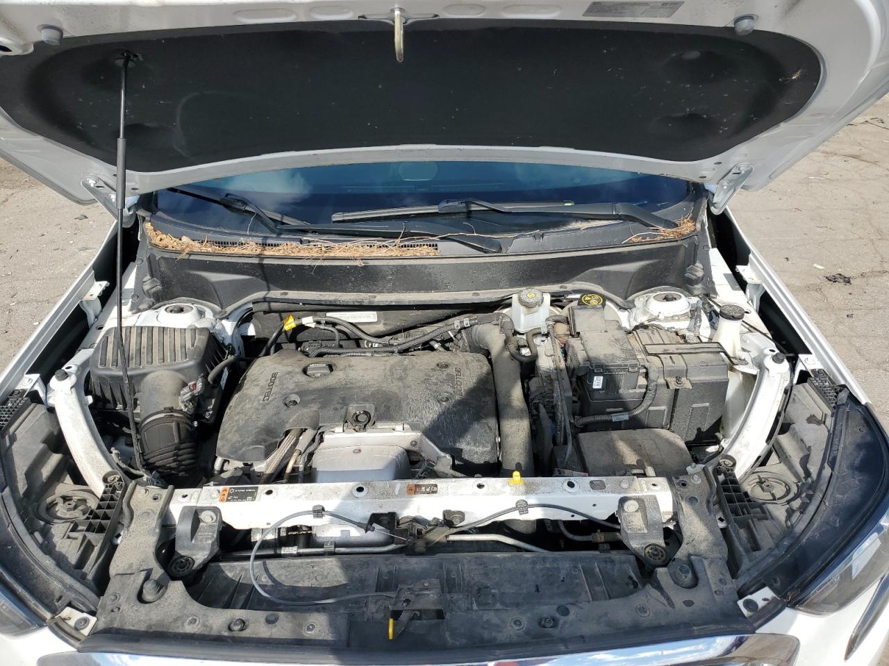 2019 GMC Terrain Denali VIN: 3GKALXEX9KL260496 Lot: 65058094