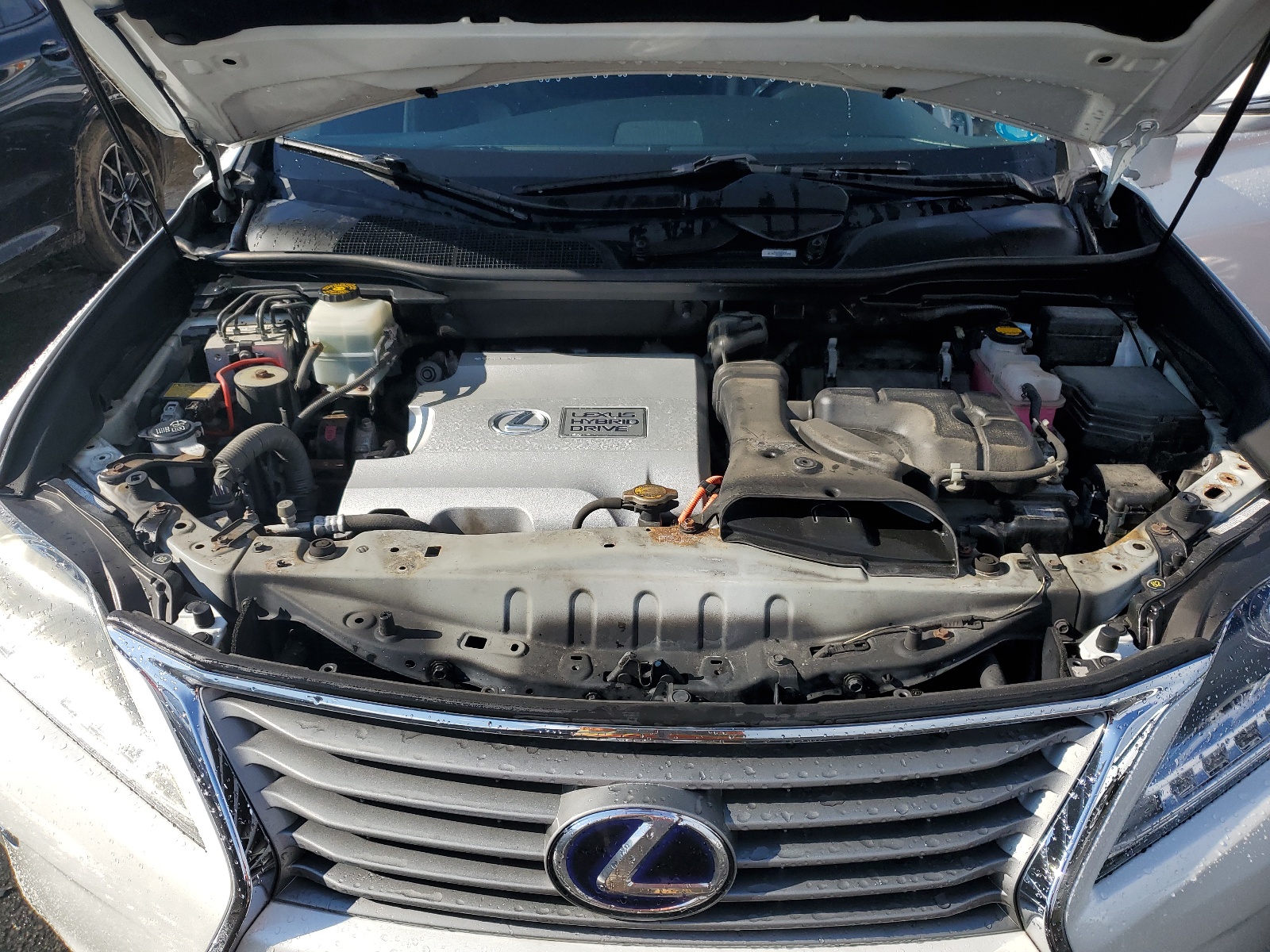 JTJBC1BA7D2441174 2013 Lexus Rx 450H