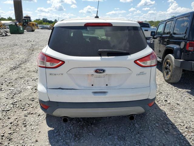  FORD ESCAPE 2013 Білий