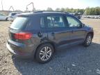 2016 Volkswagen Tiguan S zu verkaufen in Hillsborough, NJ - Side