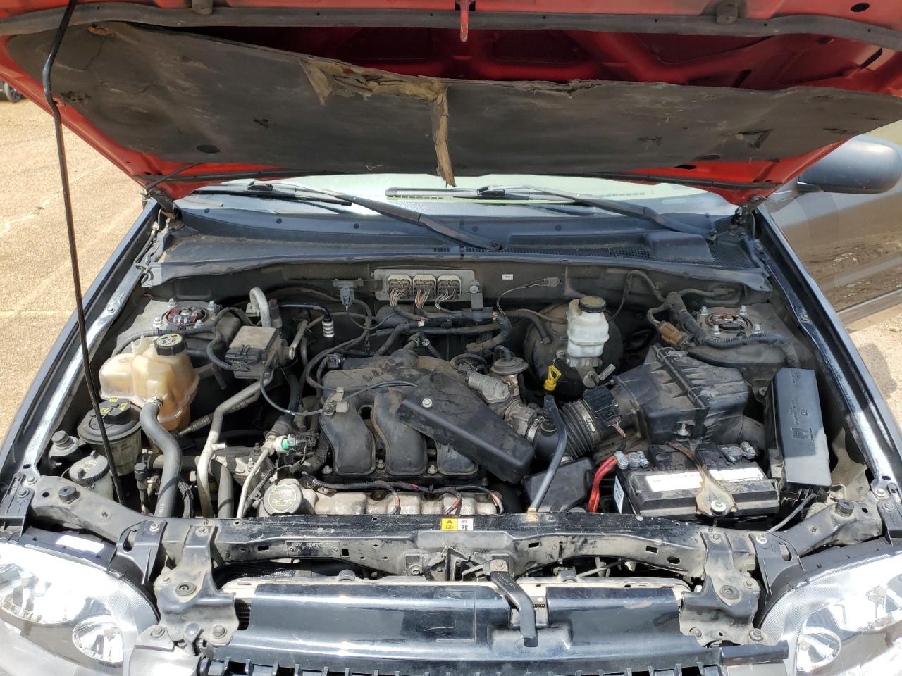 2006 Ford Escape Xlt VIN: 1FMYU03166KD36157 Lot: 63119694