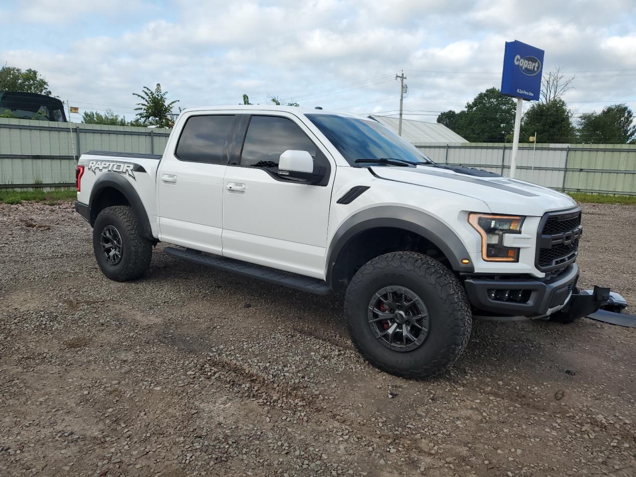 2018 Ford F150 Raptor VIN: 1FTFW1RG3JFA14620 Lot: 68792614