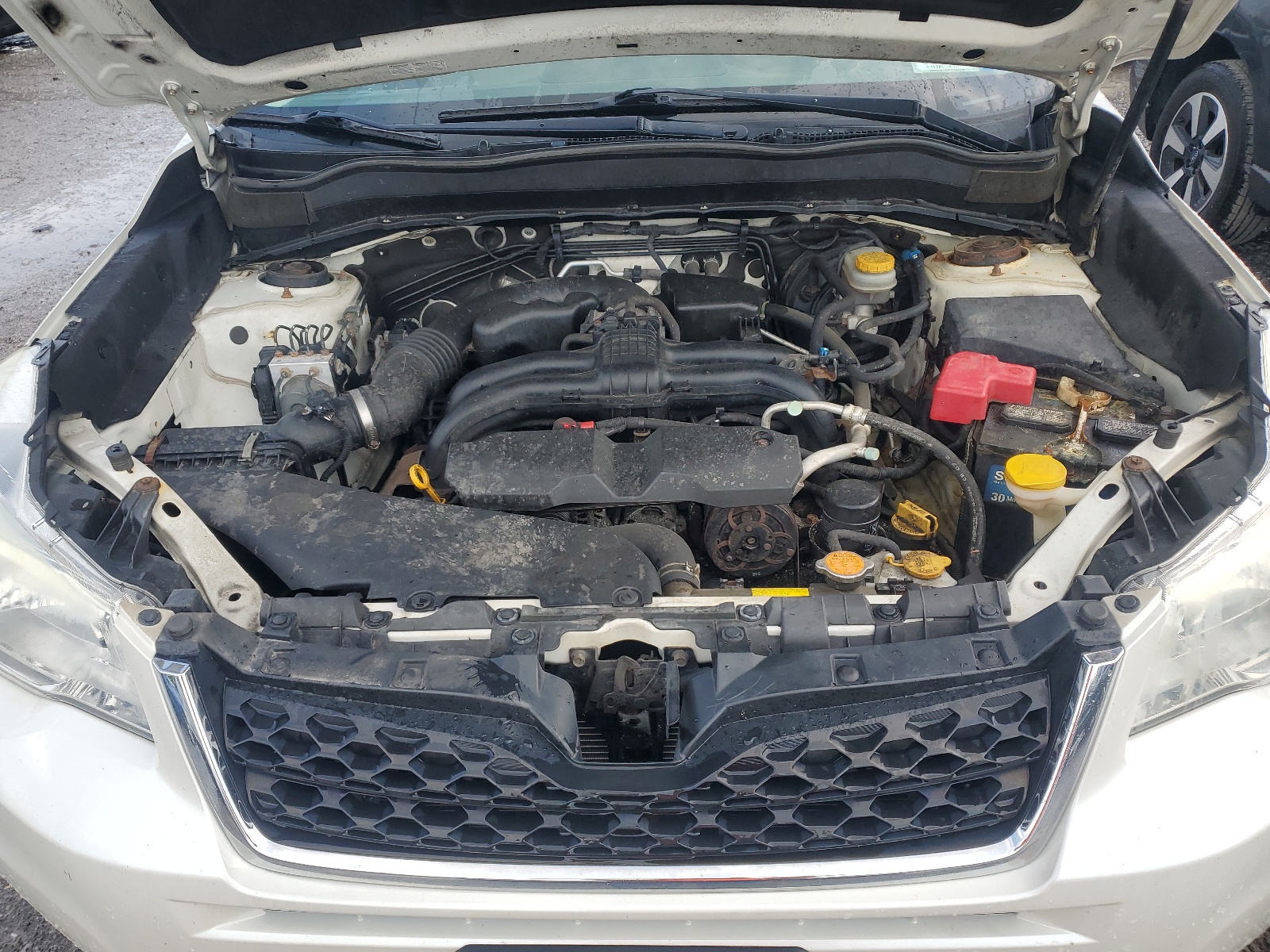 JF2SJAEC8EH447698 2014 Subaru Forester 2.5I Premium