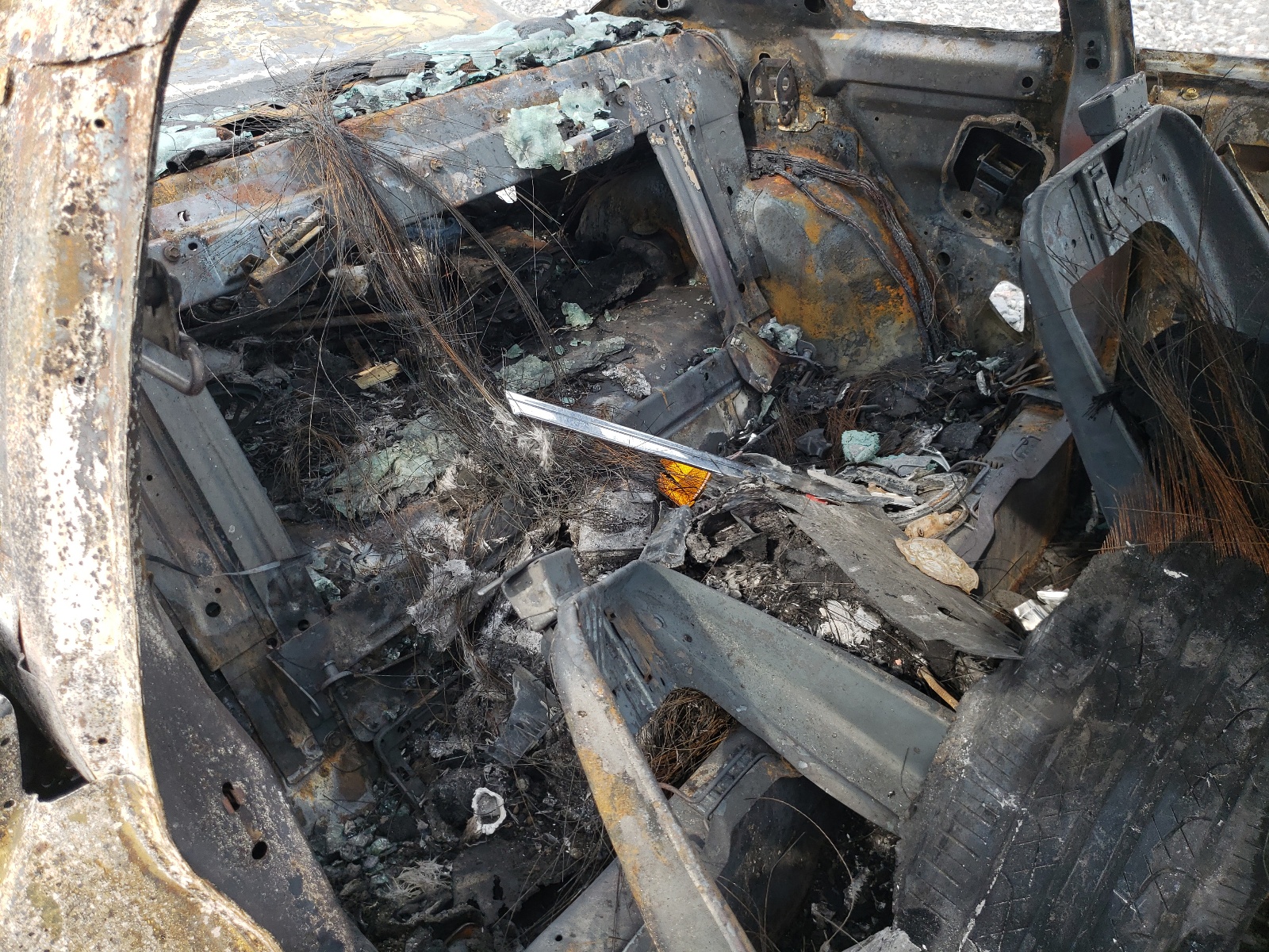 1FALP4046SF225614 1995 Ford Mustang