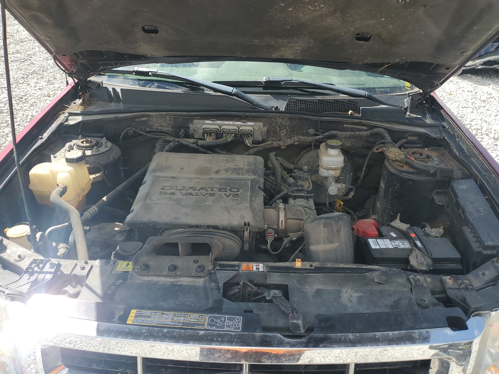 1FMCU9DG4BKA03371 2011 Ford Escape Xlt