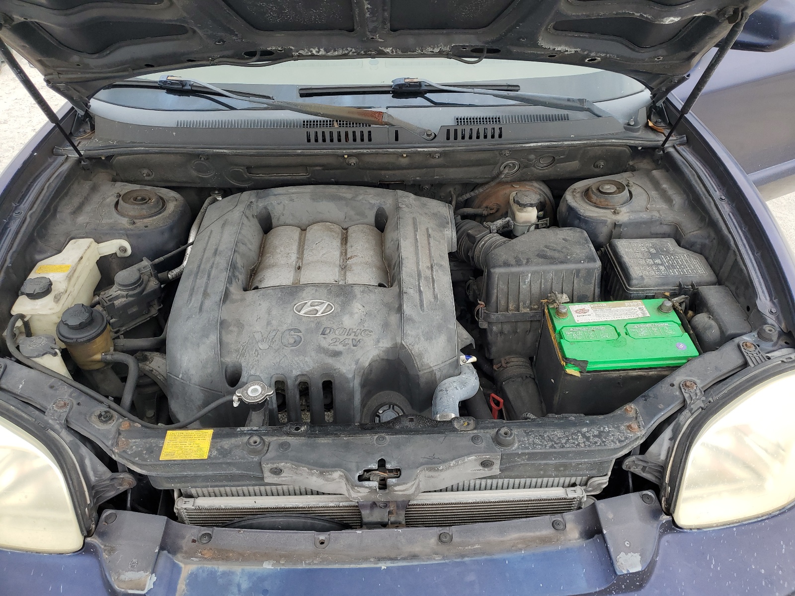 KM8SC13D44U709478 2004 Hyundai Santa Fe Gls