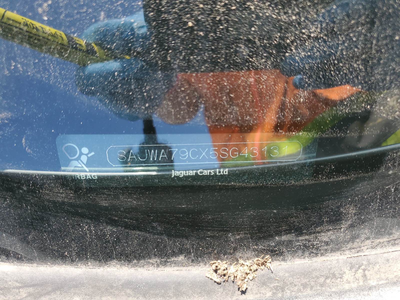 SAJWA79CX5SG43131 2005 Jaguar Xj8 L