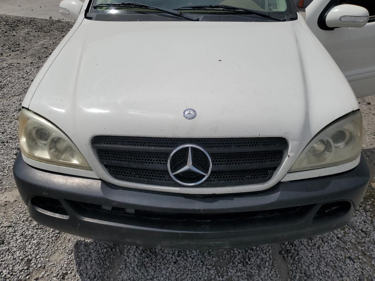 2002 Mercedes-Benz Ml 500 VIN: 4JGAB75E02A299736 Lot: 68747324