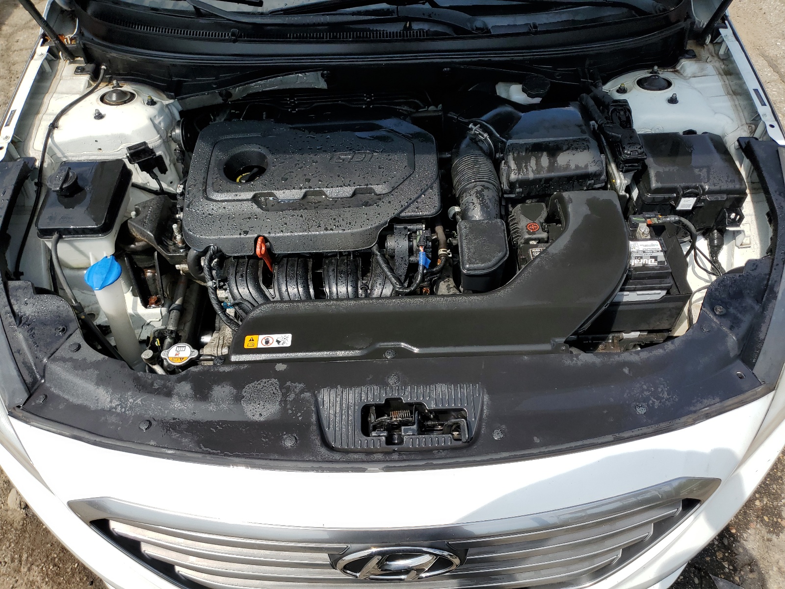 5NPE24AF0HH525343 2017 Hyundai Sonata Se