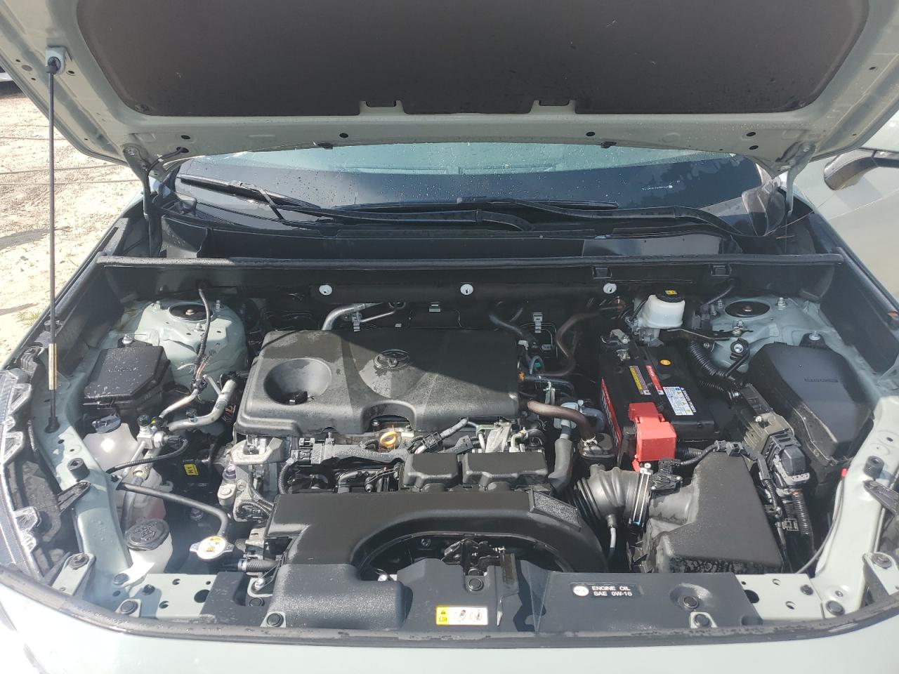 2020 Toyota Rav4 Xle VIN: 2T3W1RFV9LW061538 Lot: 66619564