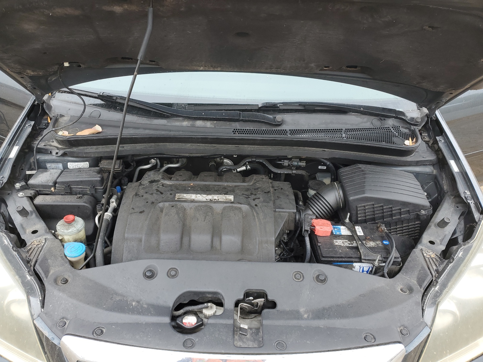 5FNRL38776B426666 2006 Honda Odyssey Exl