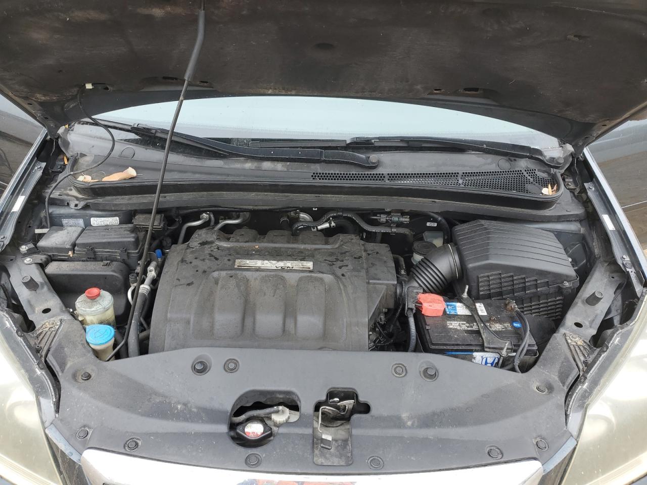 2006 Honda Odyssey Exl VIN: 5FNRL38776B426666 Lot: 66701544