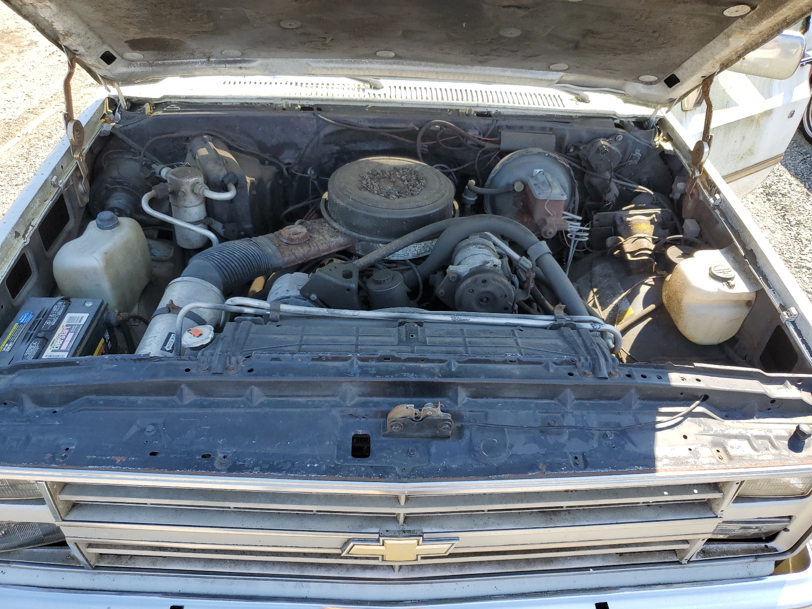 1GCGC24W4GJ106973 1986 Chevrolet C20