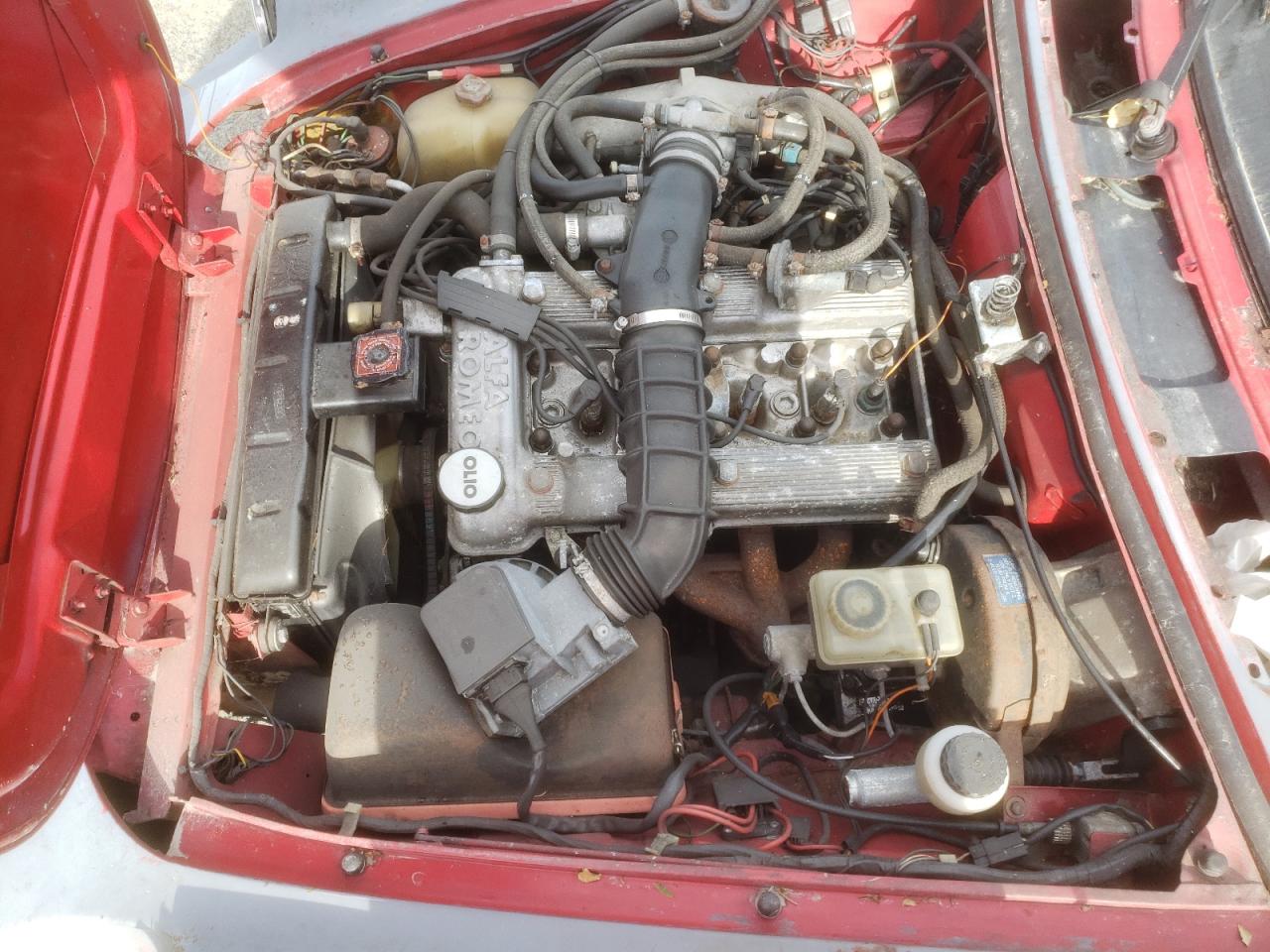 1986 Alfa Romeo Veloce 2000 Spider VIN: ZARBA5415G1036296 Lot: 68152214