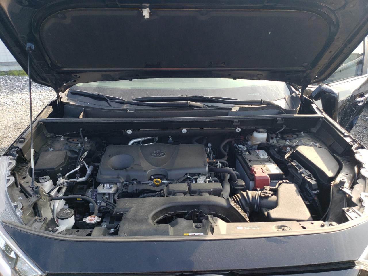 2020 Toyota Rav4 Xle VIN: JTMP1RFV4LJ029843 Lot: 65311934