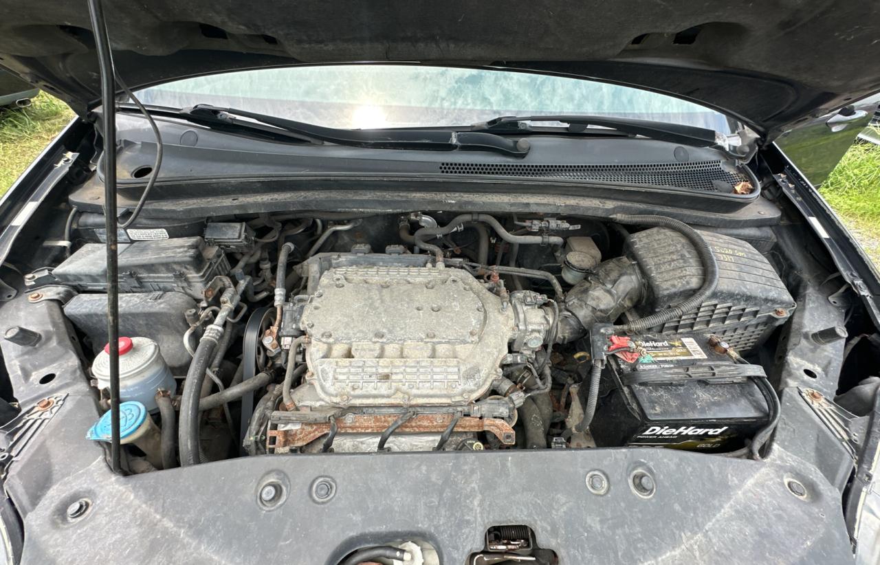 2005 Honda Odyssey Touring VIN: 5FNRL38875B130134 Lot: 66743124