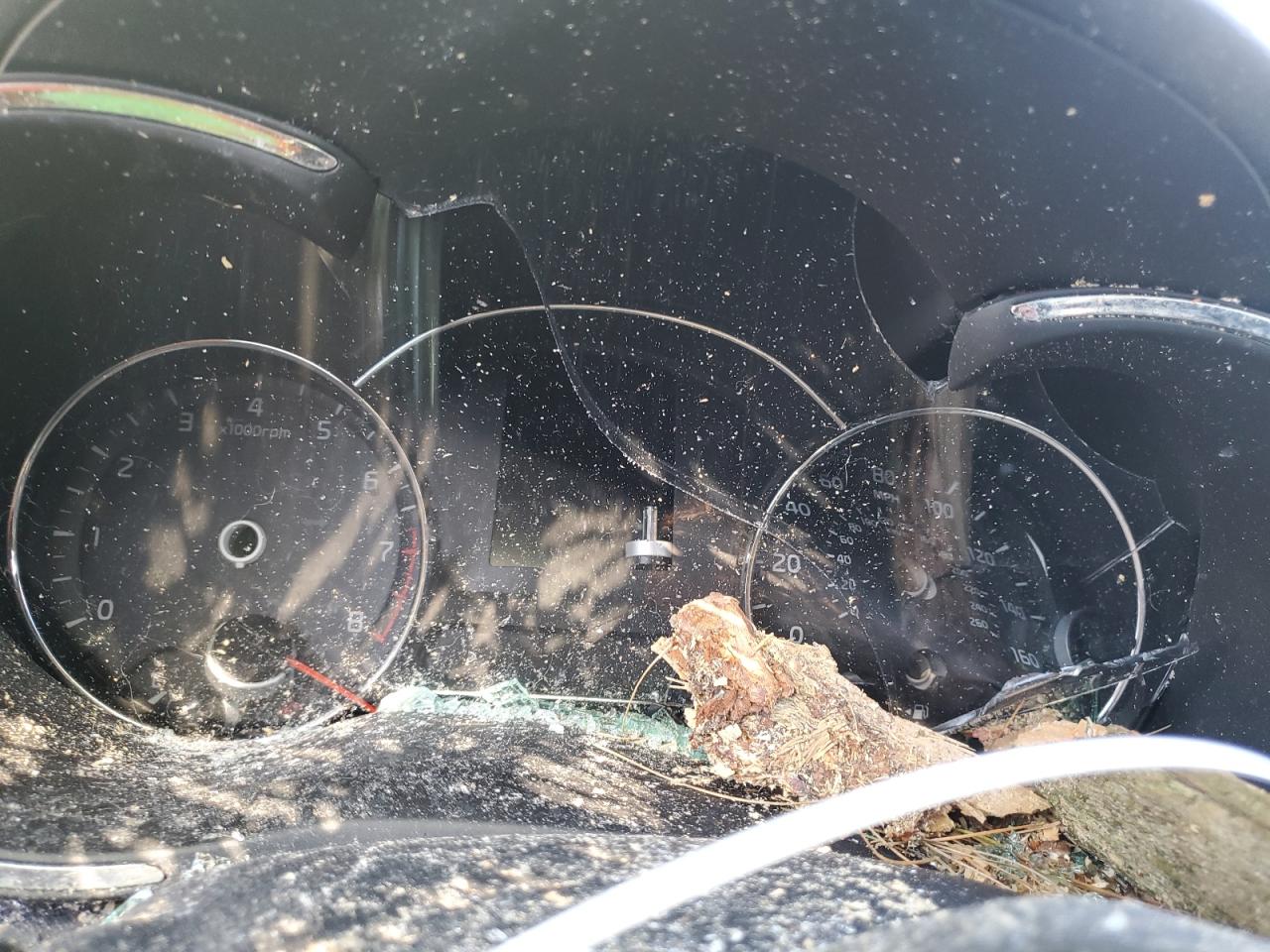 2015 Kia Forte Ex VIN: KNAFX5A89F5293557 Lot: 66172664