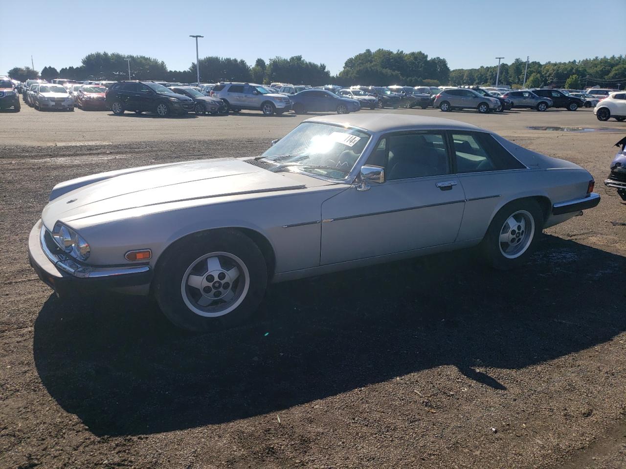 1986 Jaguar Xjs VIN: SAJNV5843GC131039 Lot: 67091114