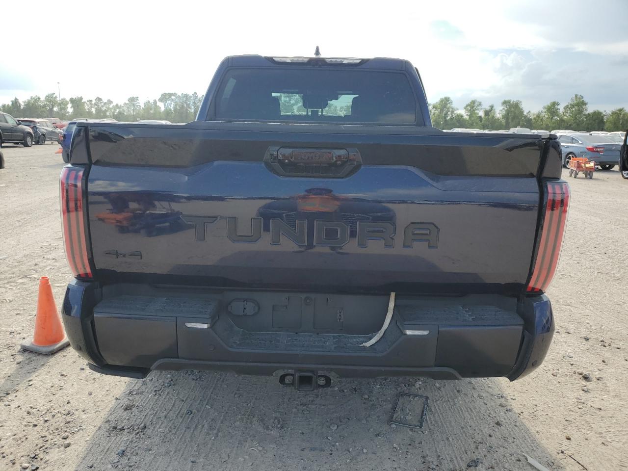 2023 Toyota Tundra Crewmax Platinum VIN: 5TFNA5DB5PX087794 Lot: 67727954