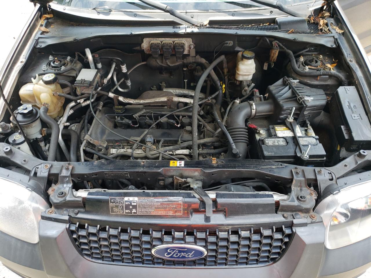 2006 Ford Escape Xlt VIN: 1FMYU93Z96KB19079 Lot: 65817164