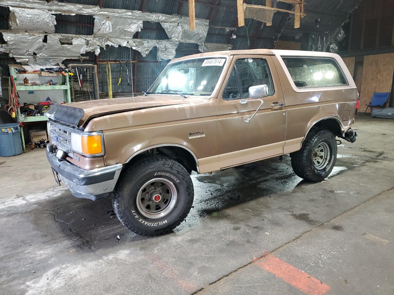 1988 Ford Bronco U100 VIN: 1FMEU15H6JLA14155 Lot: 66467814