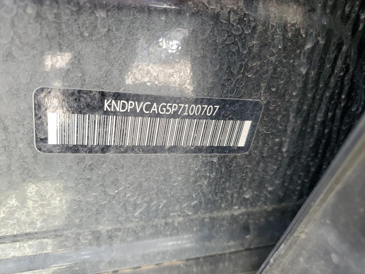 KNDPVCAG5P7100707 2023 Kia Sportage Ex