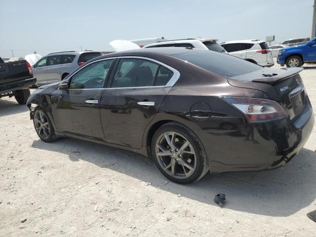  NISSAN MAXIMA 2013 Fioletowy