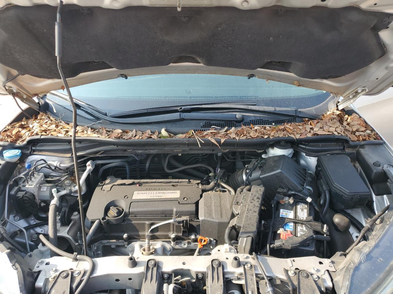 2015 Honda Cr-V Touring VIN: 5J6RM3H97FL019873 Lot: 66709064