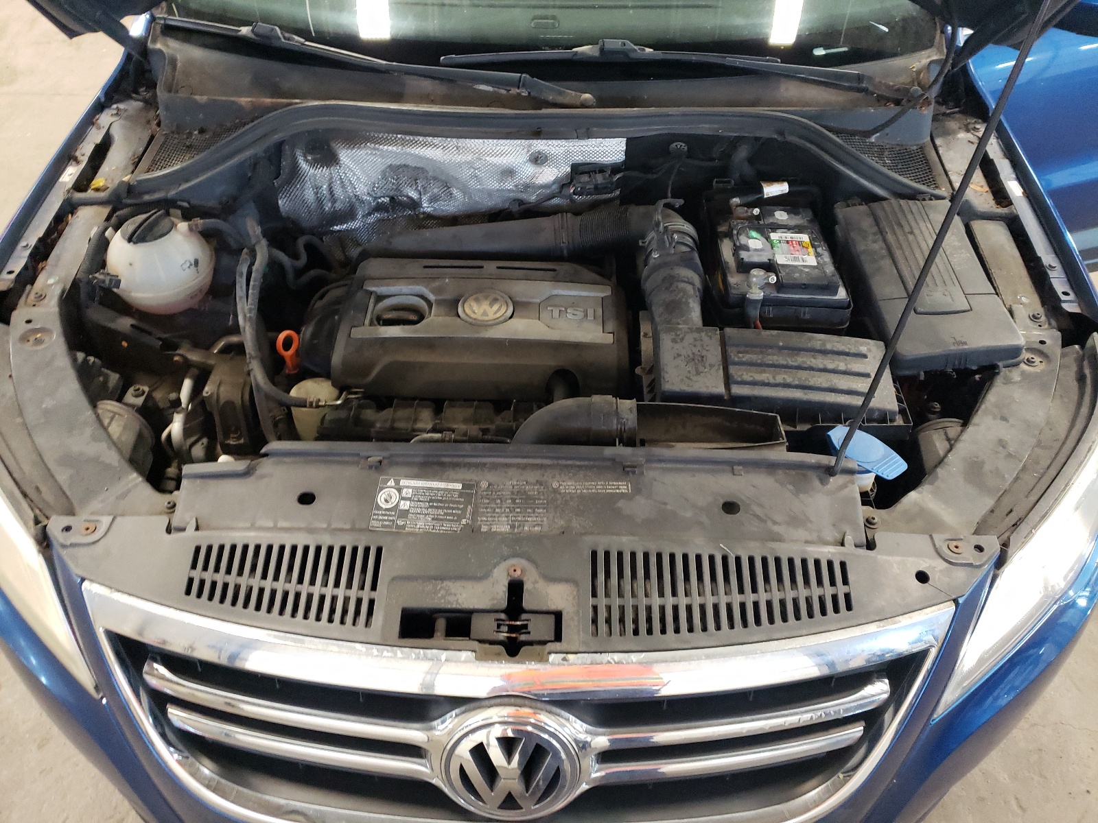 WVGBV75N39W000832 2009 Volkswagen Tiguan Se