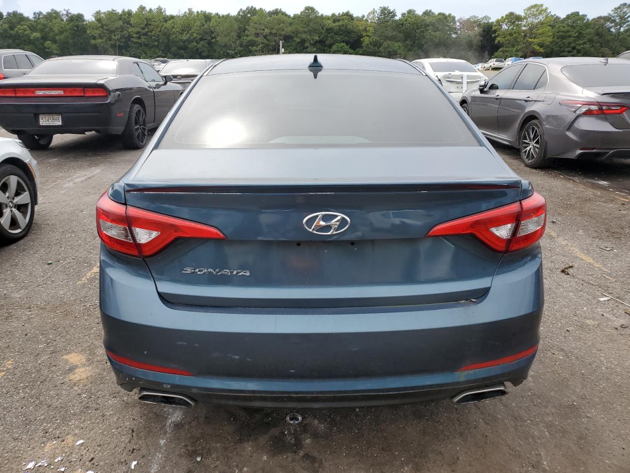 2015 Hyundai Sonata Sport VIN: 5NPE34AF5FH097229 Lot: 69591244