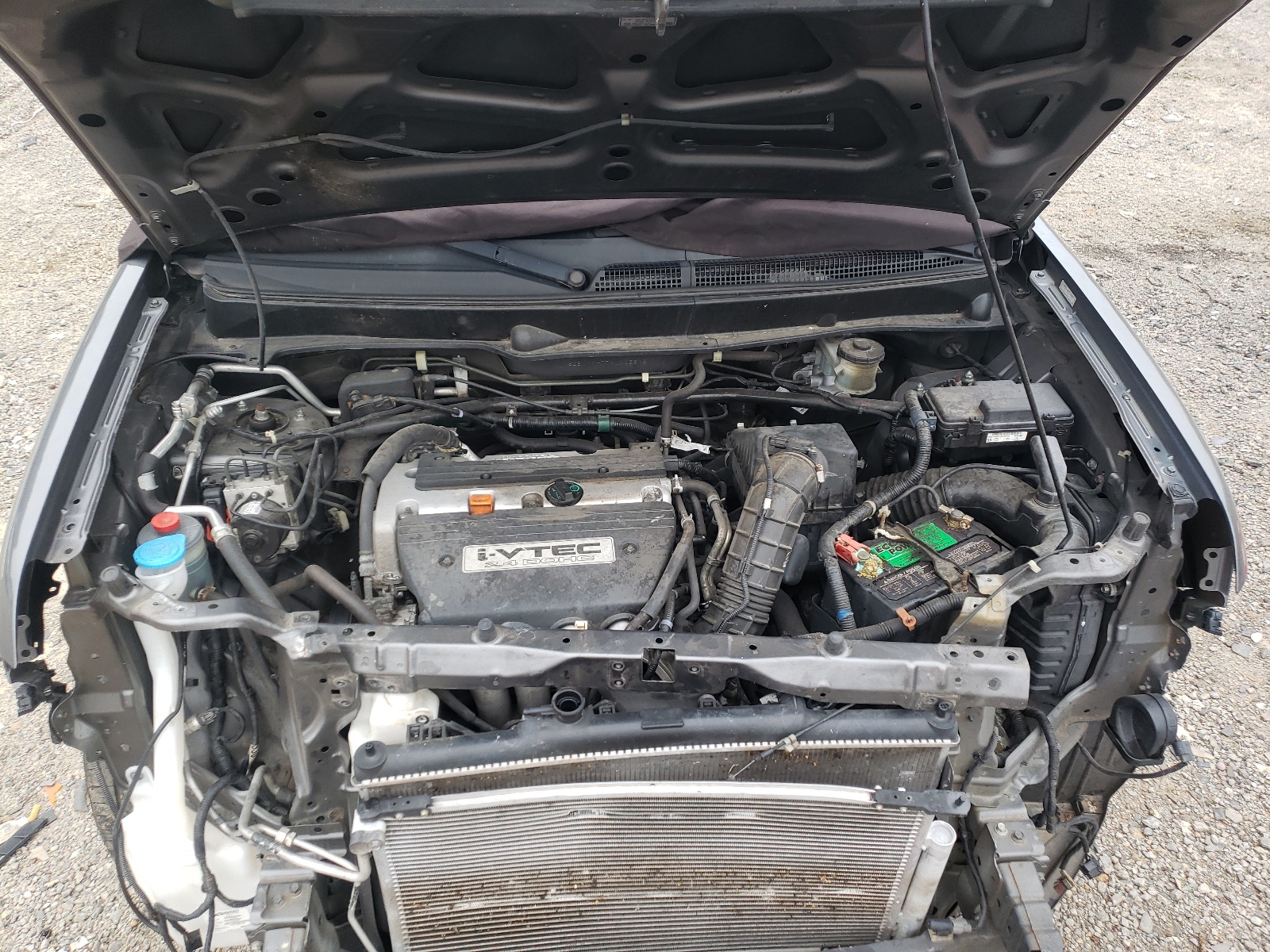 5J6YH1H77AL003846 2010 Honda Element Ex