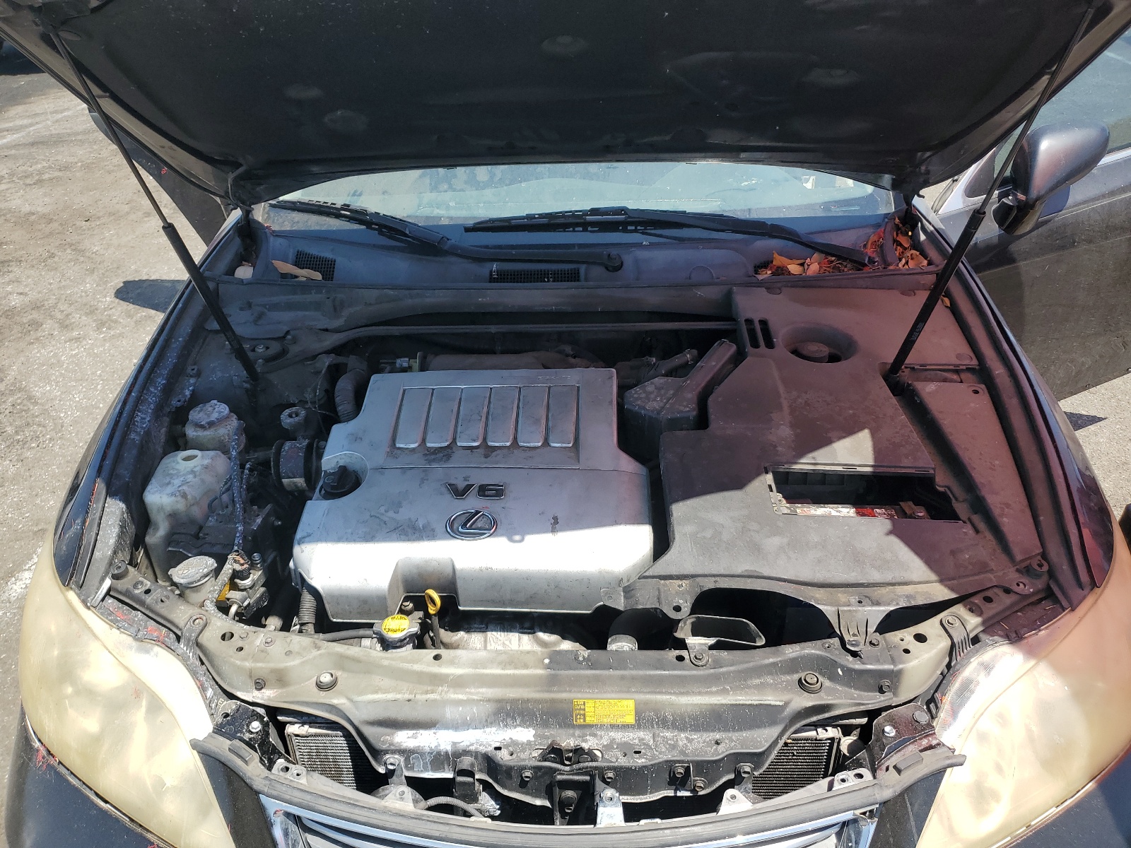 JTHBJ46G092304608 2009 Lexus Es 350